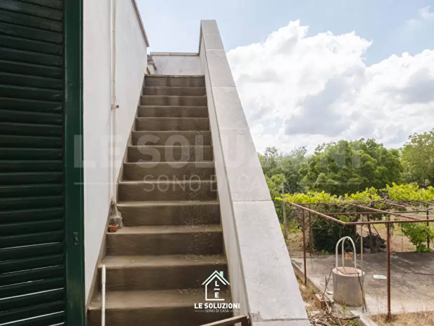 Immagine 50 di Villa in vendita  in strada comunale pozzo lo pico 19 a Putignano