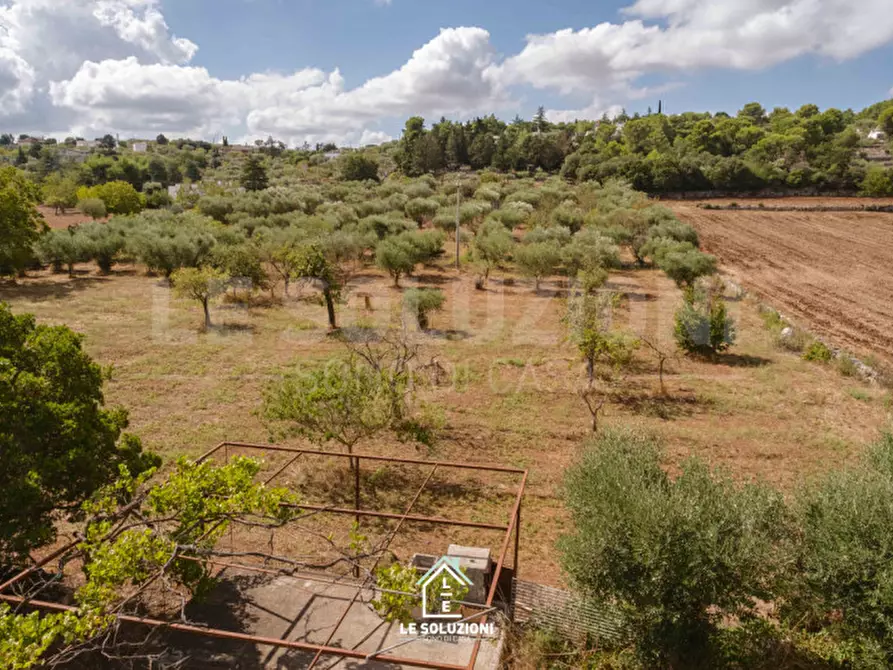 Immagine 50 di Villa in vendita  in strada comunale pozzo lo pico 19 a Putignano