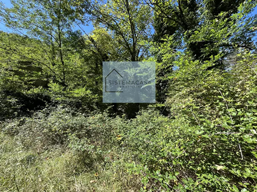 Immagine 5 di Casa indipendente in vendita  in Località Corneto a Verghereto