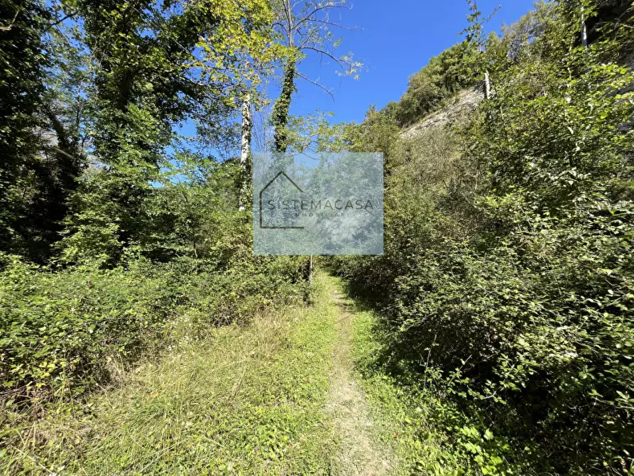 Immagine 6 di Casa indipendente in vendita  in Località Corneto a Verghereto