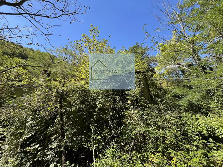 Immagine 12 di Casa indipendente in vendita  in Località Corneto a Verghereto