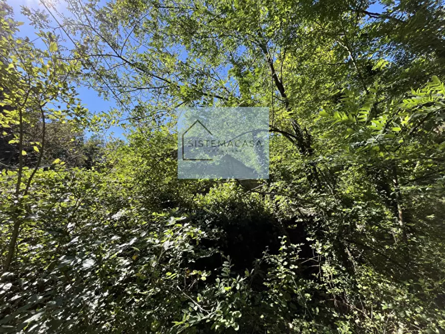 Immagine 14 di Casa indipendente in vendita  in Località Corneto a Verghereto