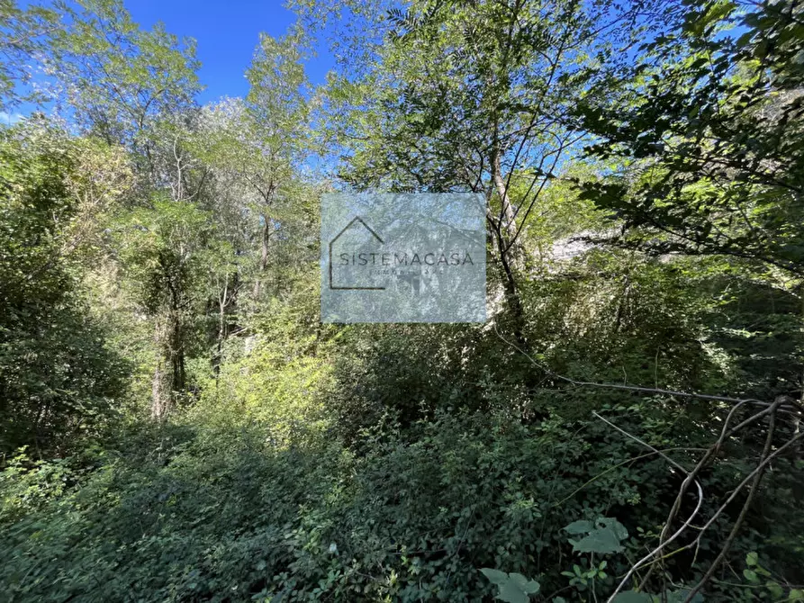 Immagine 15 di Casa indipendente in vendita  in Località Corneto a Verghereto