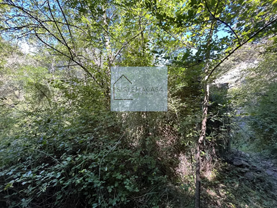 Immagine 16 di Casa indipendente in vendita  in Località Corneto a Verghereto