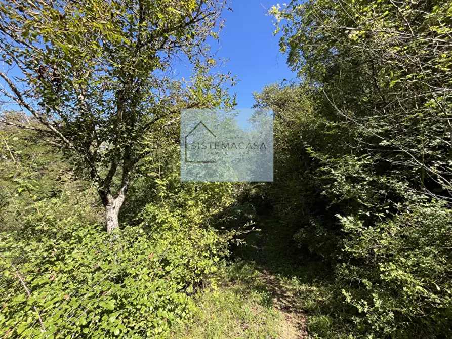 Immagine 18 di Casa indipendente in vendita  in Località Corneto a Verghereto