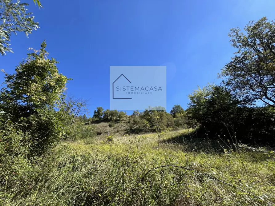 Immagine 19 di Casa indipendente in vendita  in Località Corneto a Verghereto