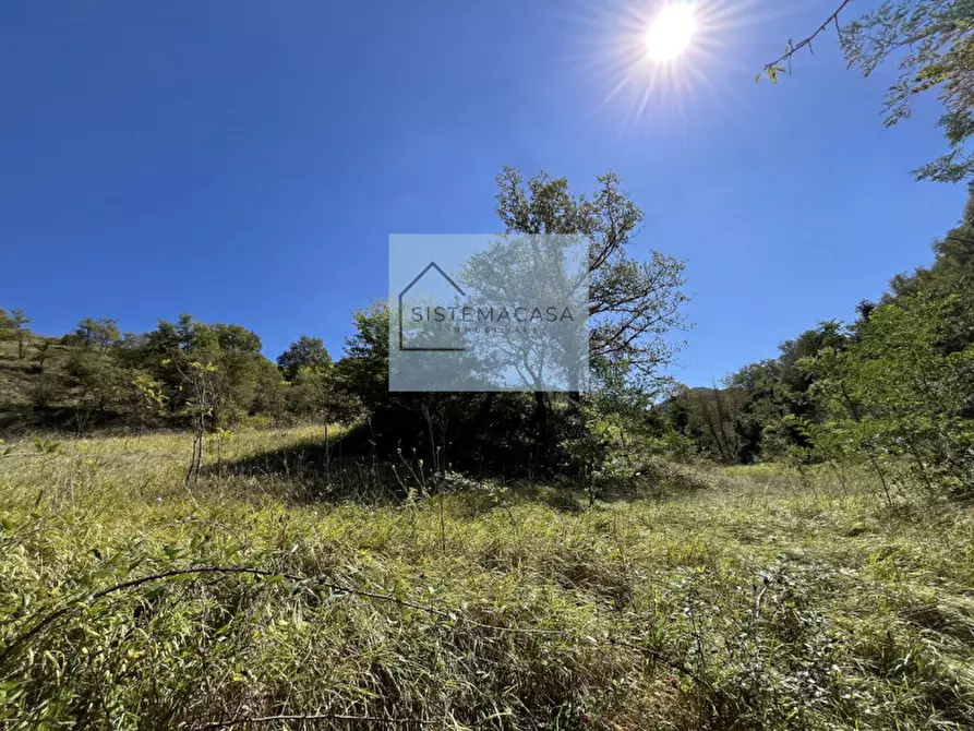 Immagine 20 di Casa indipendente in vendita  in Località Corneto a Verghereto