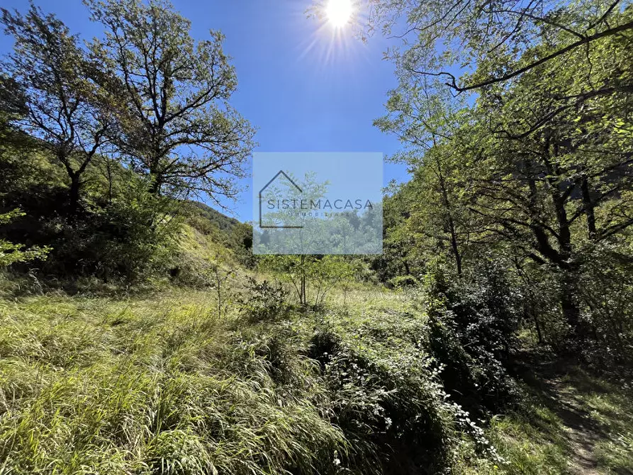 Immagine 22 di Casa indipendente in vendita  in Località Corneto a Verghereto