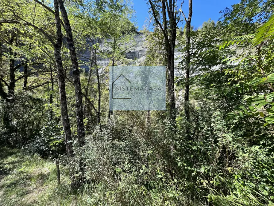 Immagine 23 di Casa indipendente in vendita  in Località Corneto a Verghereto