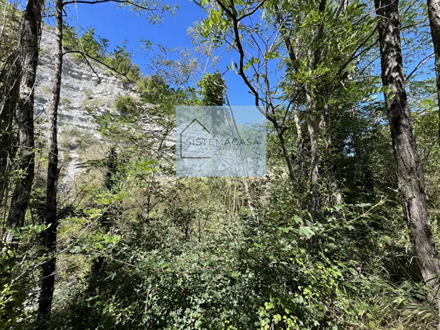 Immagine 24 di Casa indipendente in vendita  in Località Corneto a Verghereto