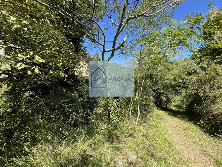 Immagine 25 di Casa indipendente in vendita  in Località Corneto a Verghereto