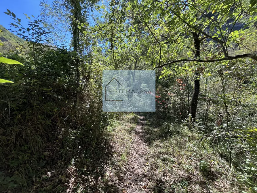 Immagine 26 di Casa indipendente in vendita  in Località Corneto a Verghereto