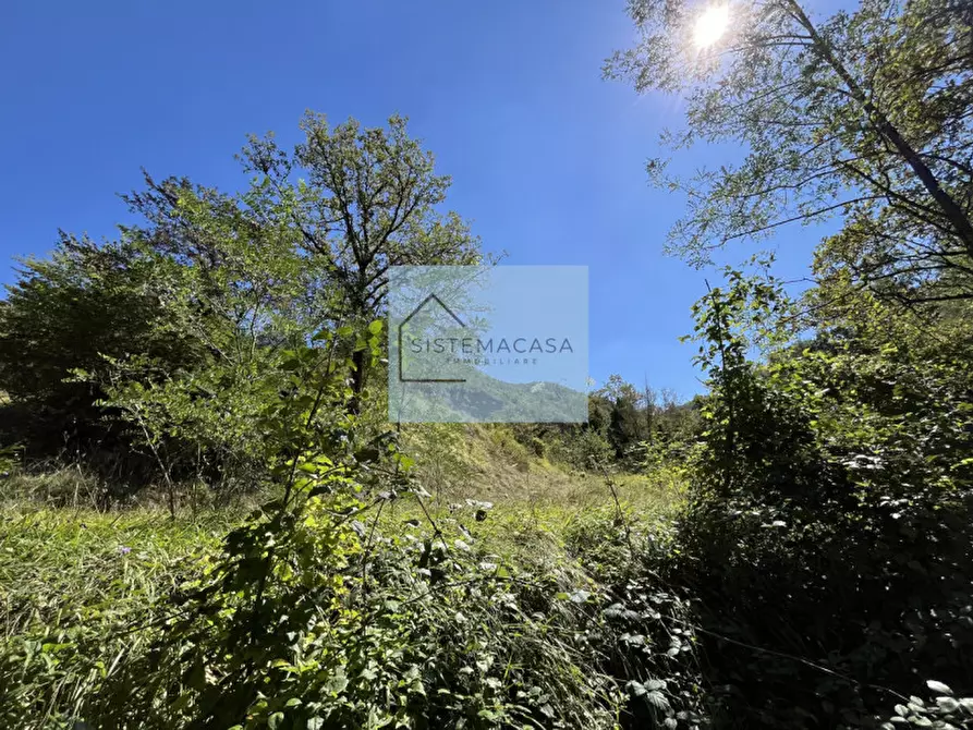 Immagine 27 di Casa indipendente in vendita  in Località Corneto a Verghereto