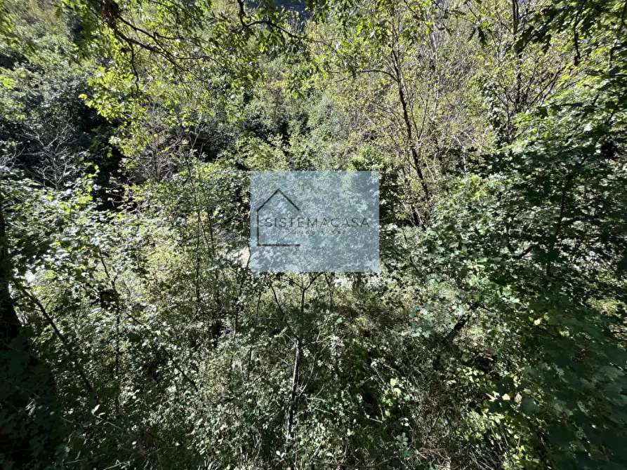 Immagine 28 di Casa indipendente in vendita  in Località Corneto a Verghereto