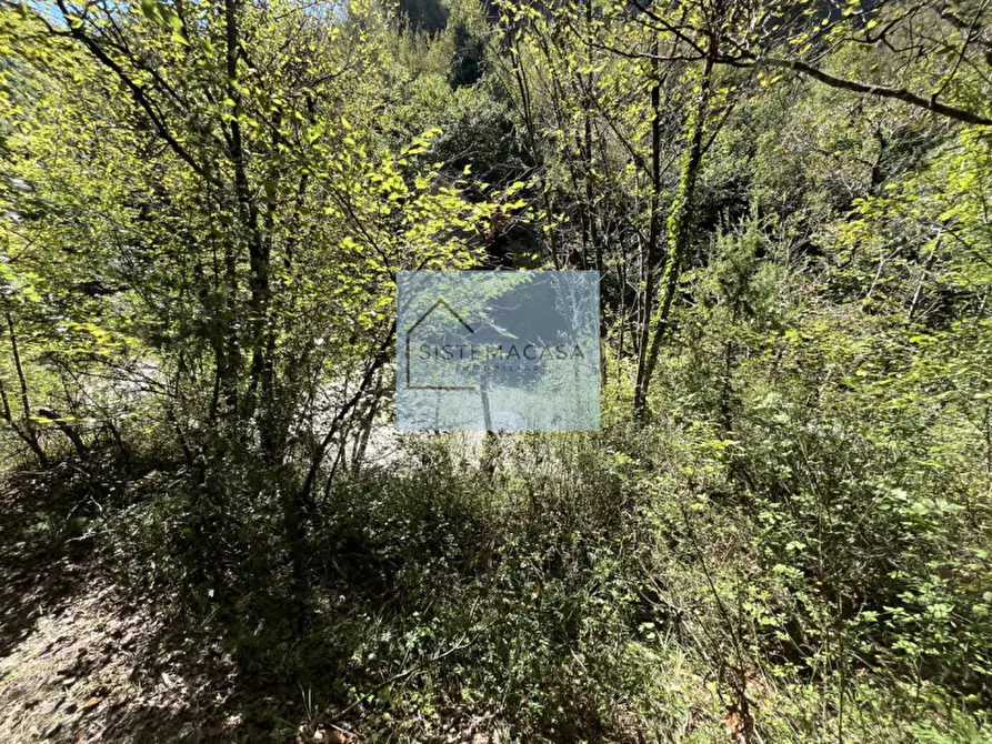 Immagine 29 di Casa indipendente in vendita  in Località Corneto a Verghereto