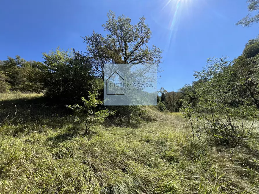 Immagine 57 di Casa indipendente in vendita  in Località Corneto a Verghereto