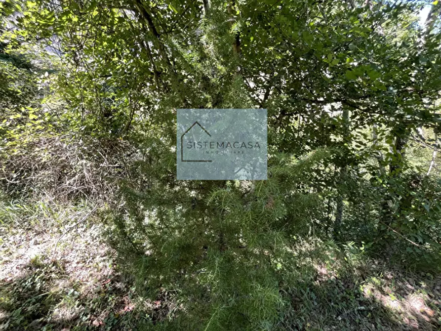 Immagine 58 di Casa indipendente in vendita  in Località Corneto a Verghereto