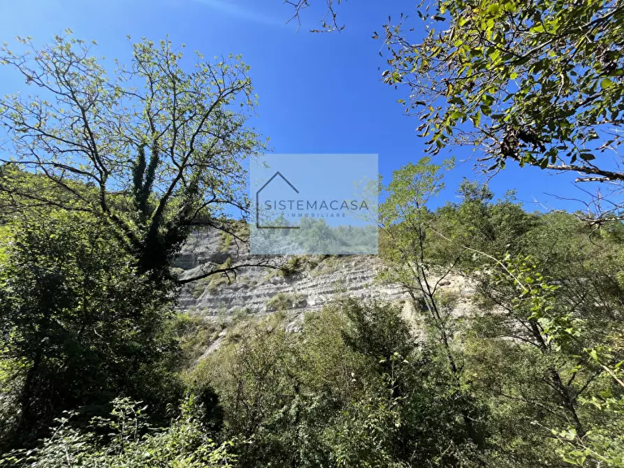 Immagine 59 di Casa indipendente in vendita  in Località Corneto a Verghereto