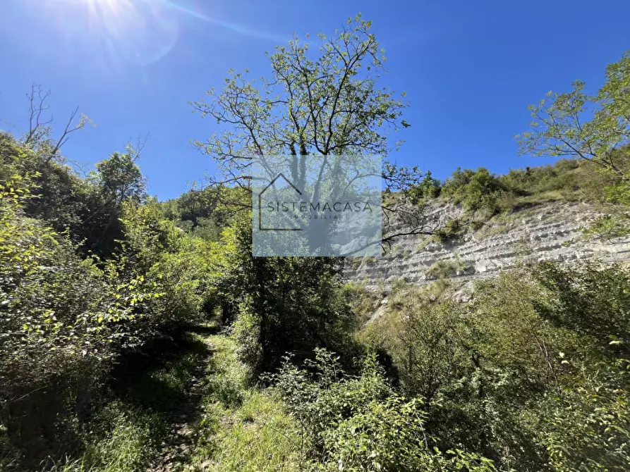 Immagine 60 di Casa indipendente in vendita  in Località Corneto a Verghereto