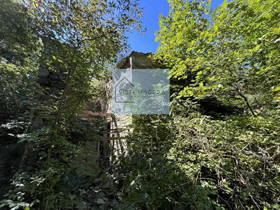 Immagine 61 di Casa indipendente in vendita  in Località Corneto a Verghereto