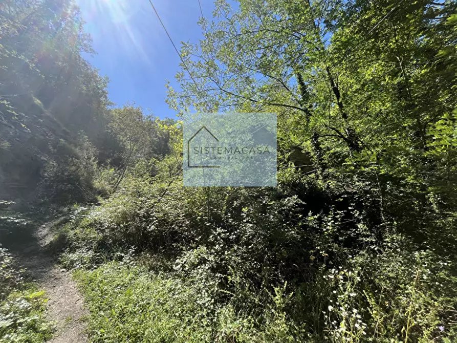 Immagine 63 di Casa indipendente in vendita  in Località Corneto a Verghereto