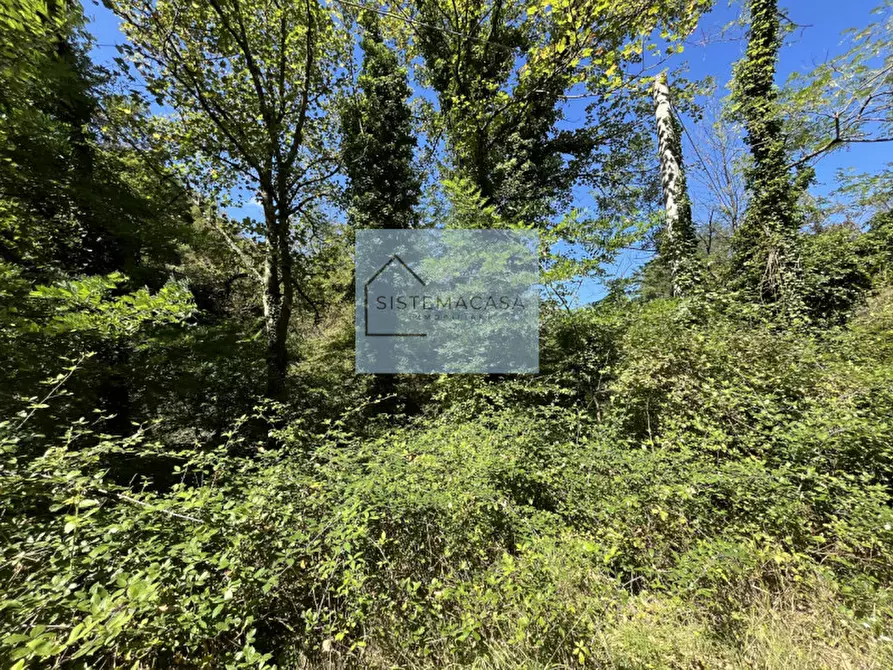 Immagine 64 di Casa indipendente in vendita  in Località Corneto a Verghereto