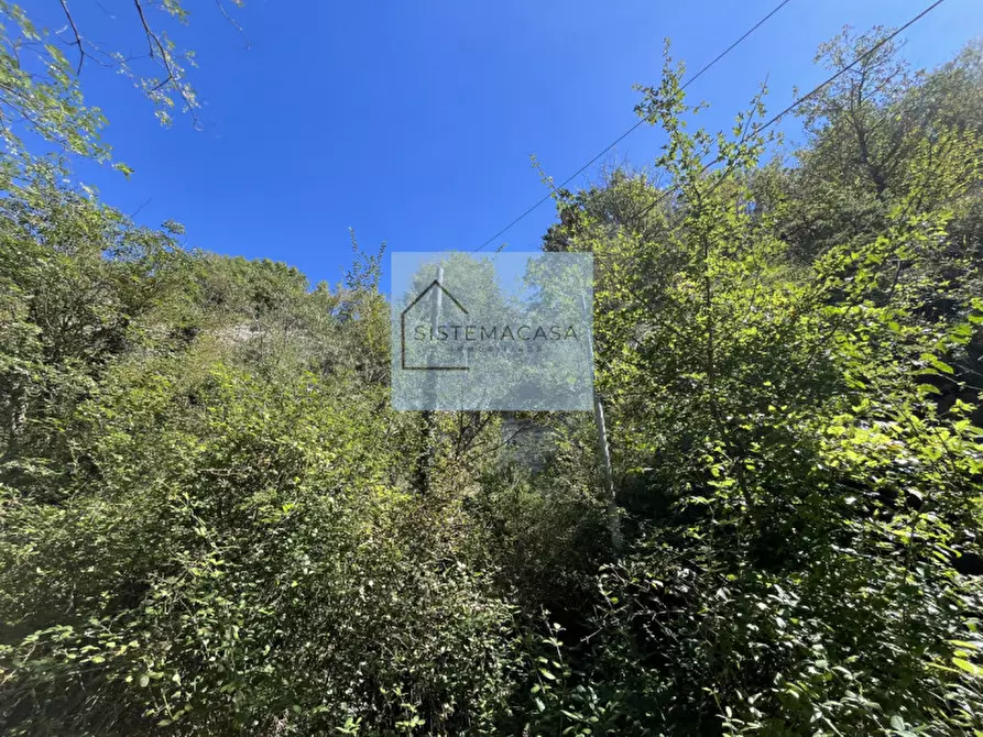 Immagine 65 di Casa indipendente in vendita  in Località Corneto a Verghereto