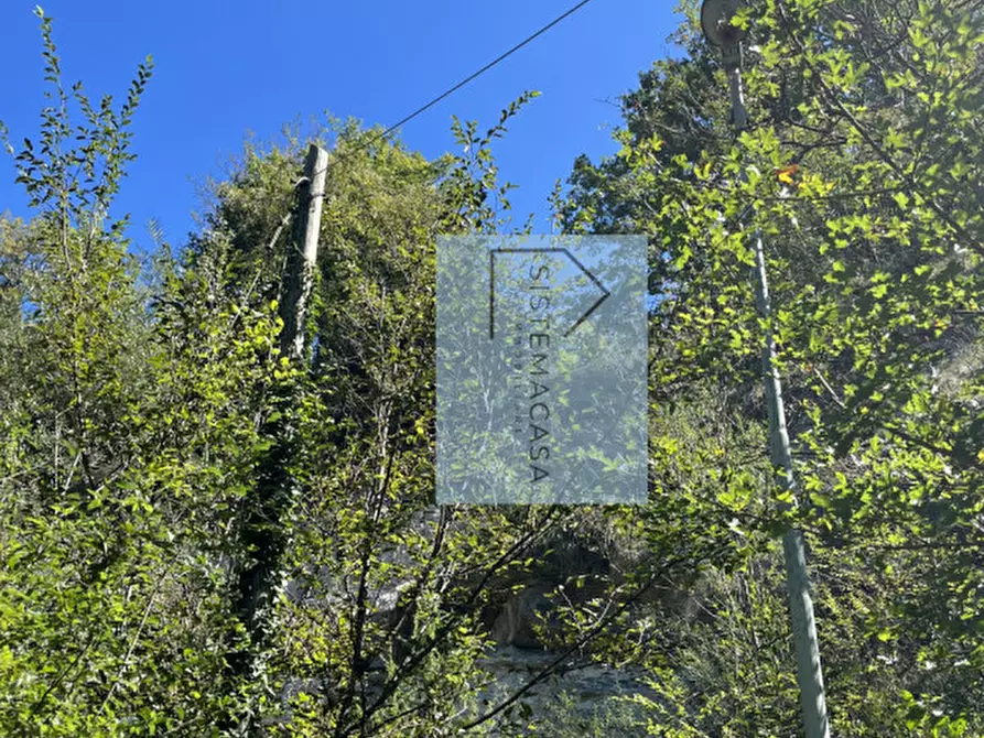 Immagine 66 di Casa indipendente in vendita  in Località Corneto a Verghereto