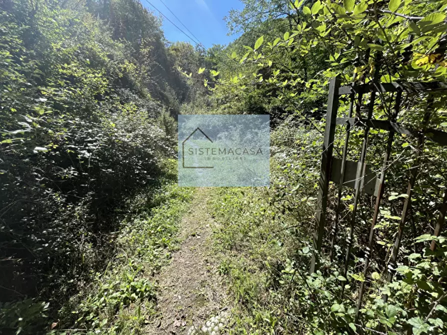 Immagine 67 di Casa indipendente in vendita  in Località Corneto a Verghereto