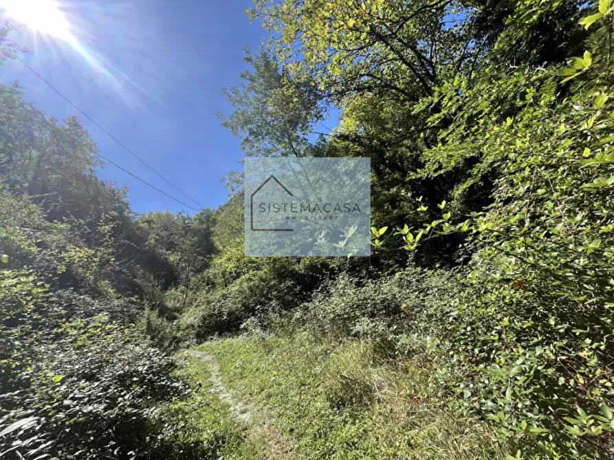 Immagine 68 di Casa indipendente in vendita  in Località Corneto a Verghereto