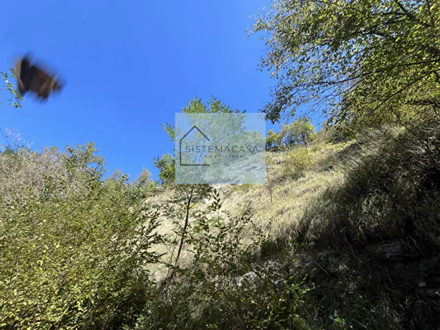 Immagine 69 di Casa indipendente in vendita  in Località Corneto a Verghereto