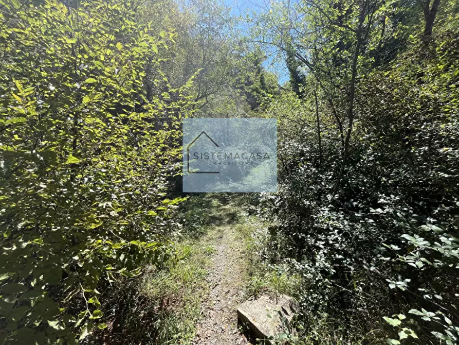 Immagine 70 di Casa indipendente in vendita  in Località Corneto a Verghereto