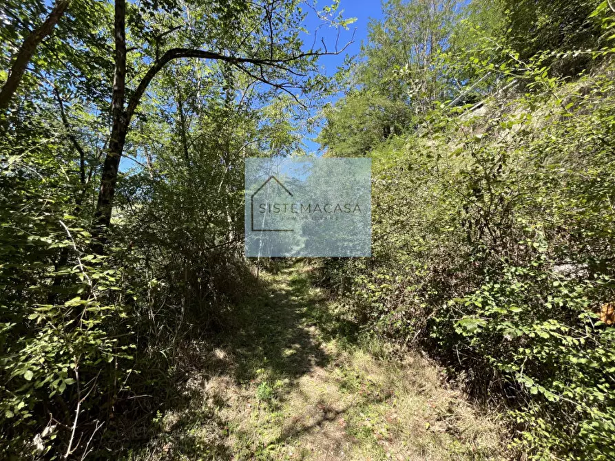 Immagine 72 di Casa indipendente in vendita  in Località Corneto a Verghereto