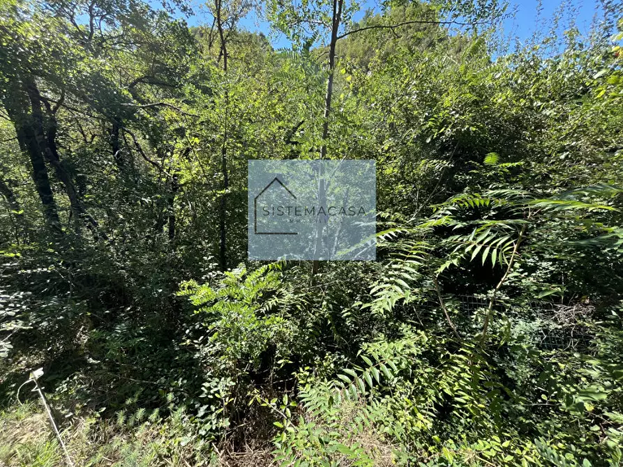 Immagine 73 di Casa indipendente in vendita  in Località Corneto a Verghereto