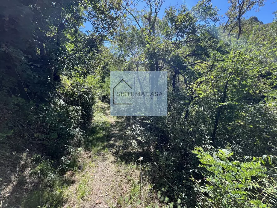 Immagine 74 di Casa indipendente in vendita  in Località Corneto a Verghereto