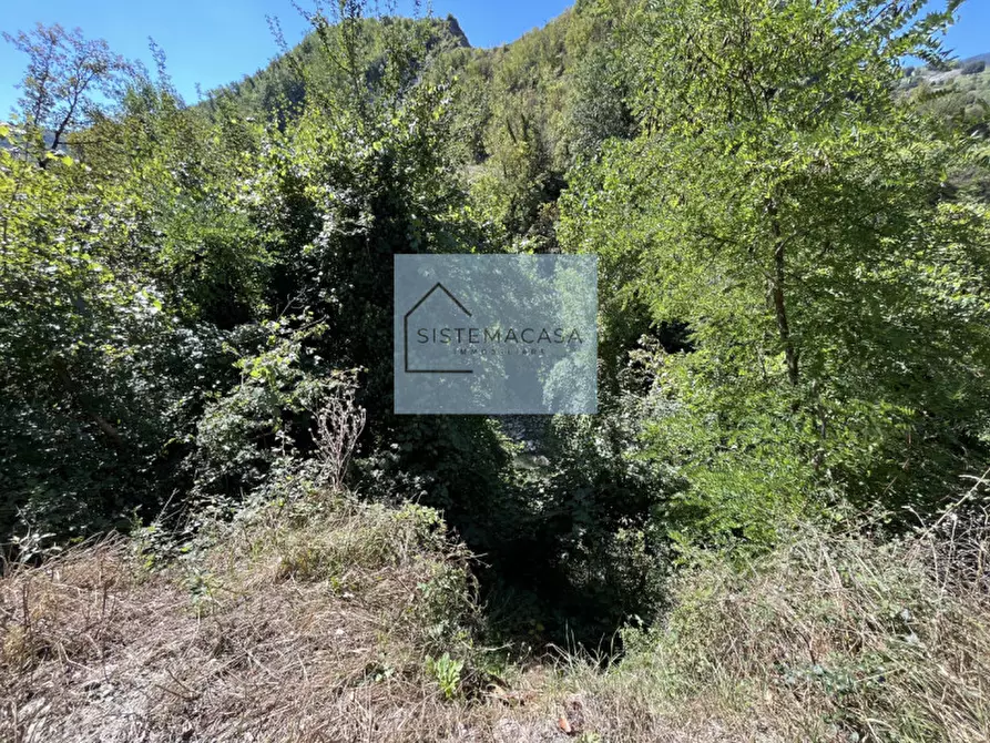 Immagine 75 di Casa indipendente in vendita  in Località Corneto a Verghereto