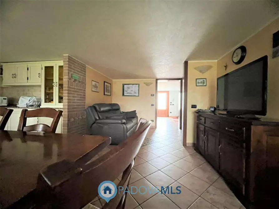 Immagine 8 di Villa in vendita  a Anguillara Veneta