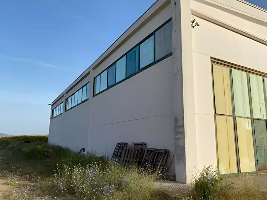 Immagine 3 di Capannone industriale in vendita  in C.DA CERMINIANO a Montescaglioso