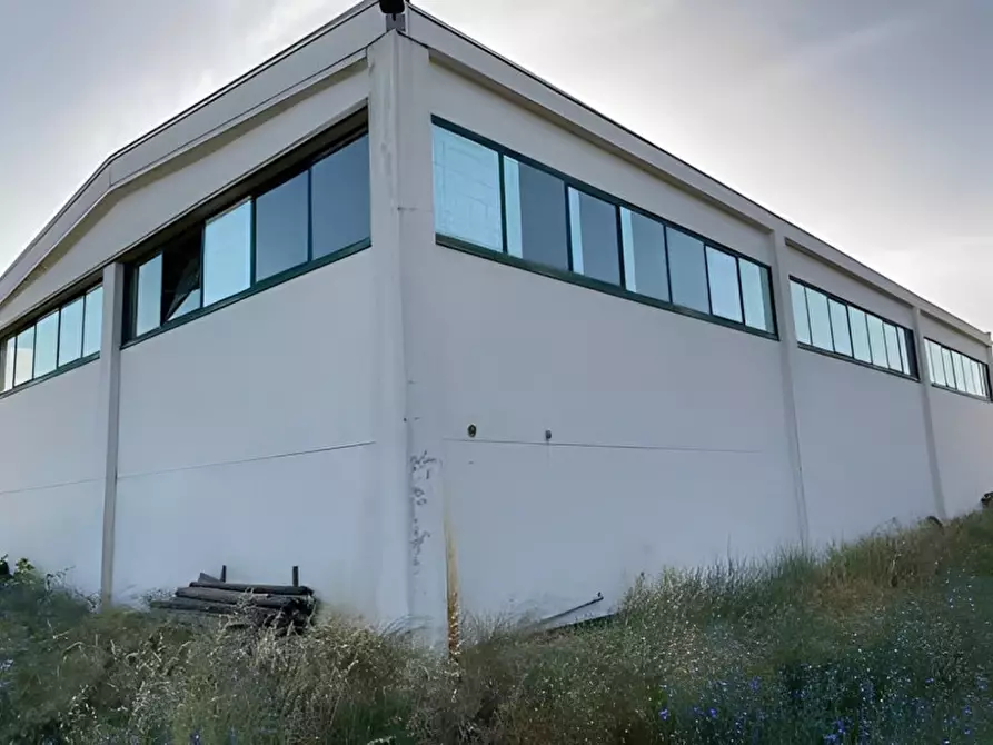 Immagine 4 di Capannone industriale in vendita  in C.DA CERMINIANO a Montescaglioso
