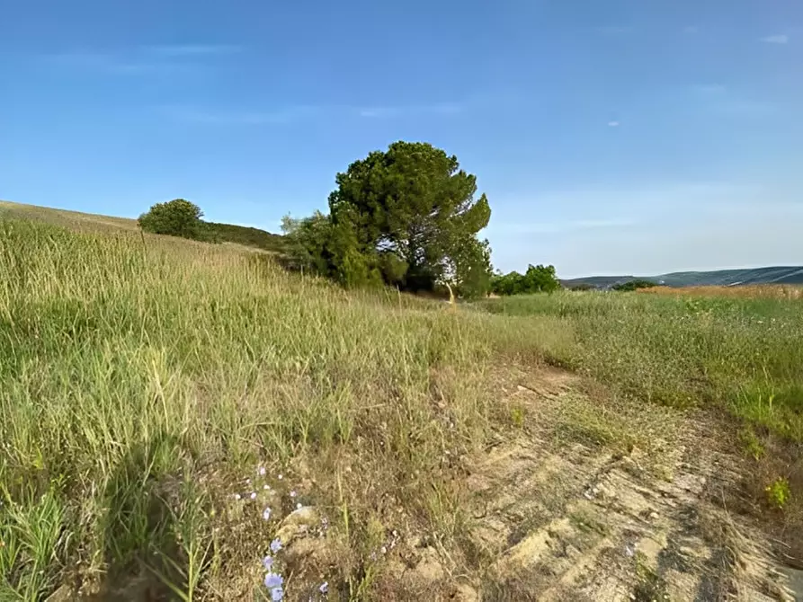 Immagine 12 di Capannone industriale in vendita  in C.DA CERMINIANO a Montescaglioso