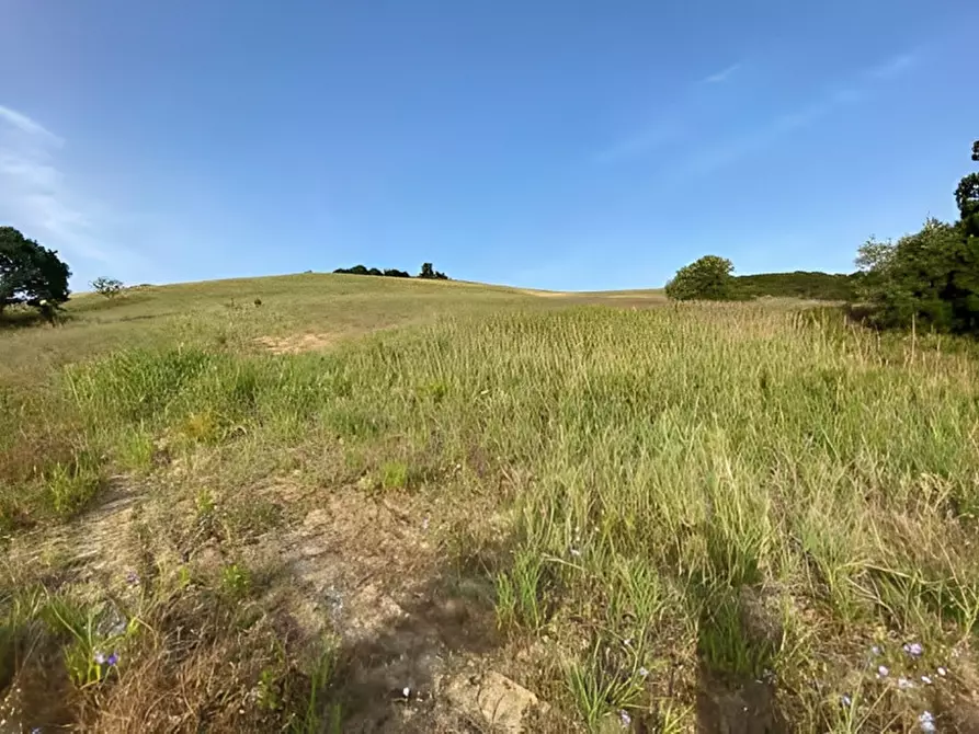 Immagine 13 di Capannone industriale in vendita  in C.DA CERMINIANO a Montescaglioso