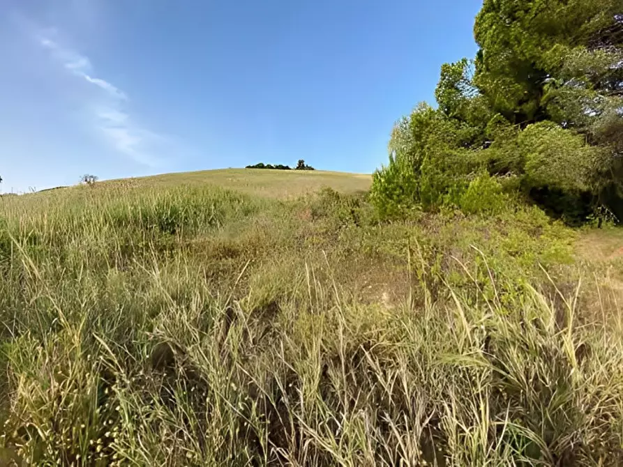 Immagine 14 di Capannone industriale in vendita  in C.DA CERMINIANO a Montescaglioso