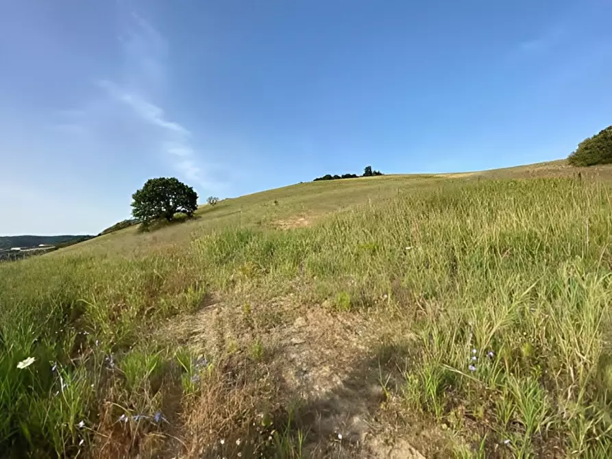 Immagine 15 di Capannone industriale in vendita  in C.DA CERMINIANO a Montescaglioso