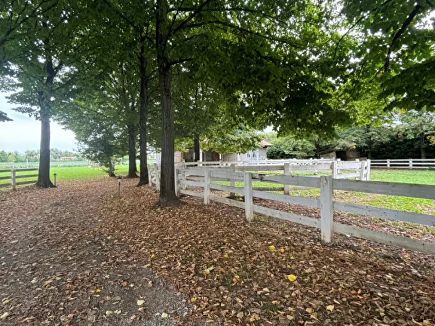 Immagine 19 di Villa in vendita  in Loreggia a Loreggia