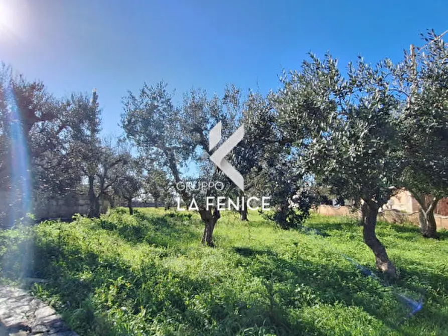 Immagine 16 di Rustico / casale in vendita  in contrada uacella a Locorotondo