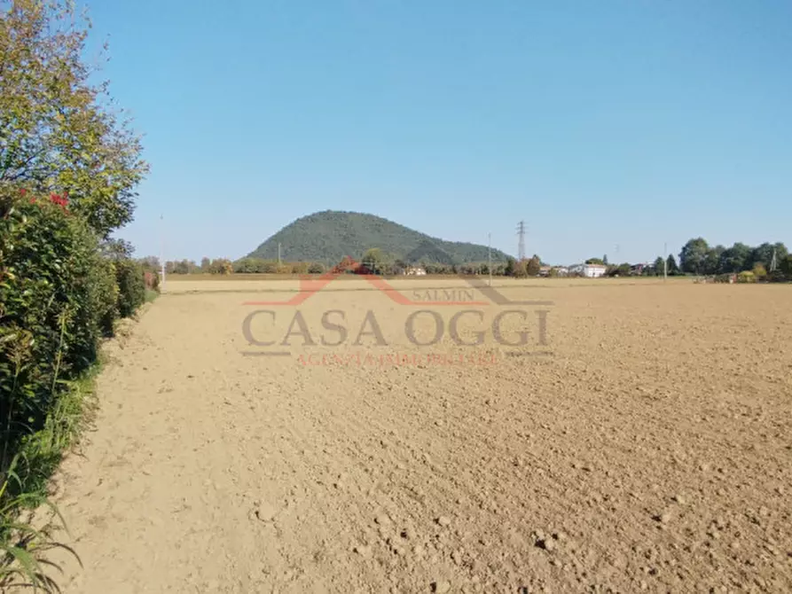 Immagine 2 di Terreno in vendita  a Teolo