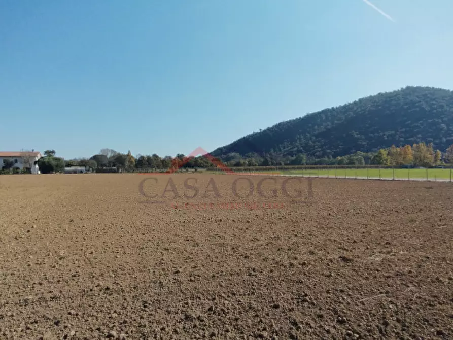 Immagine 2 di Terreno in vendita  a Teolo