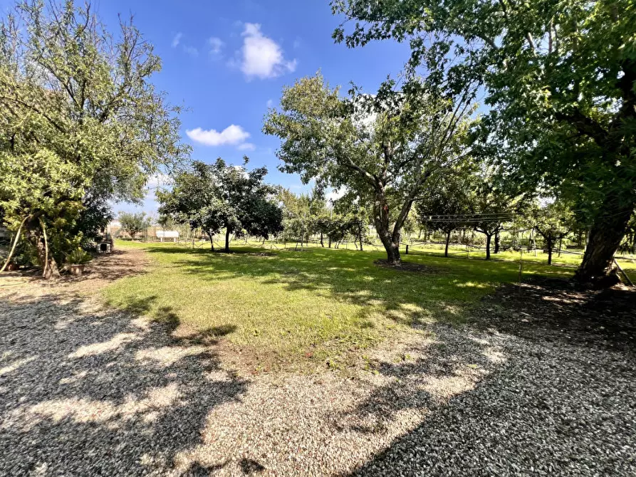 Immagine 26 di Casa bifamiliare in vendita  in Via Dosso de Pol, 5 a Gazzo Veronese