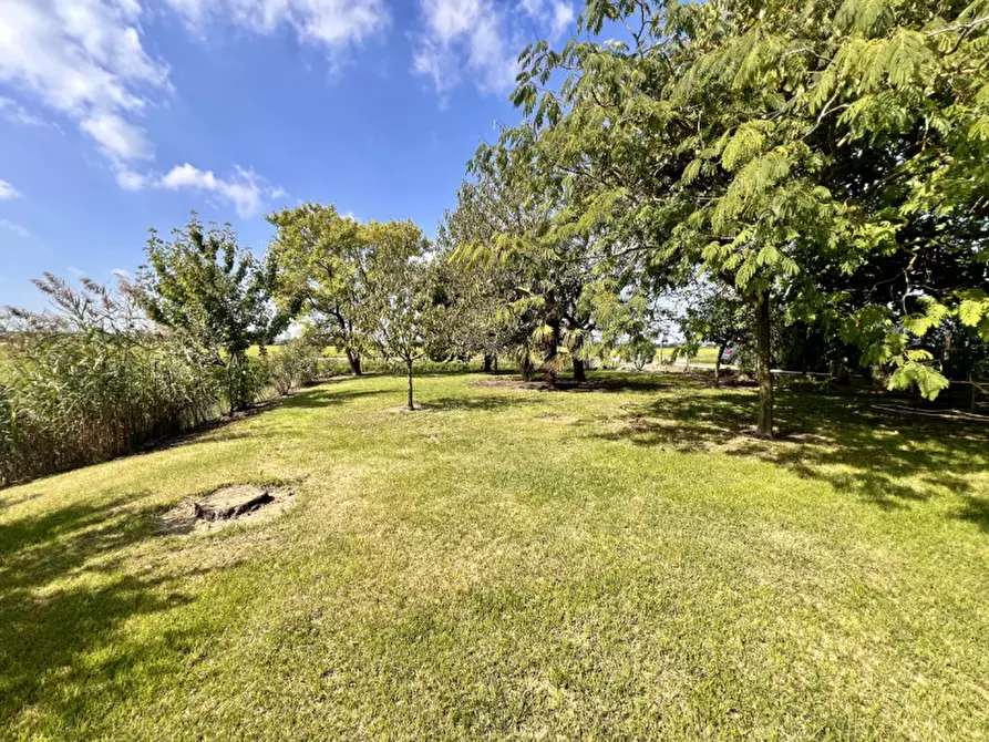 Immagine 28 di Casa bifamiliare in vendita  in Via Dosso de Pol, 5 a Gazzo Veronese