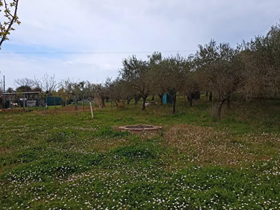 Immagine 2 di Terreno in vendita  in Strada della Fabbrina 50 a Pesaro